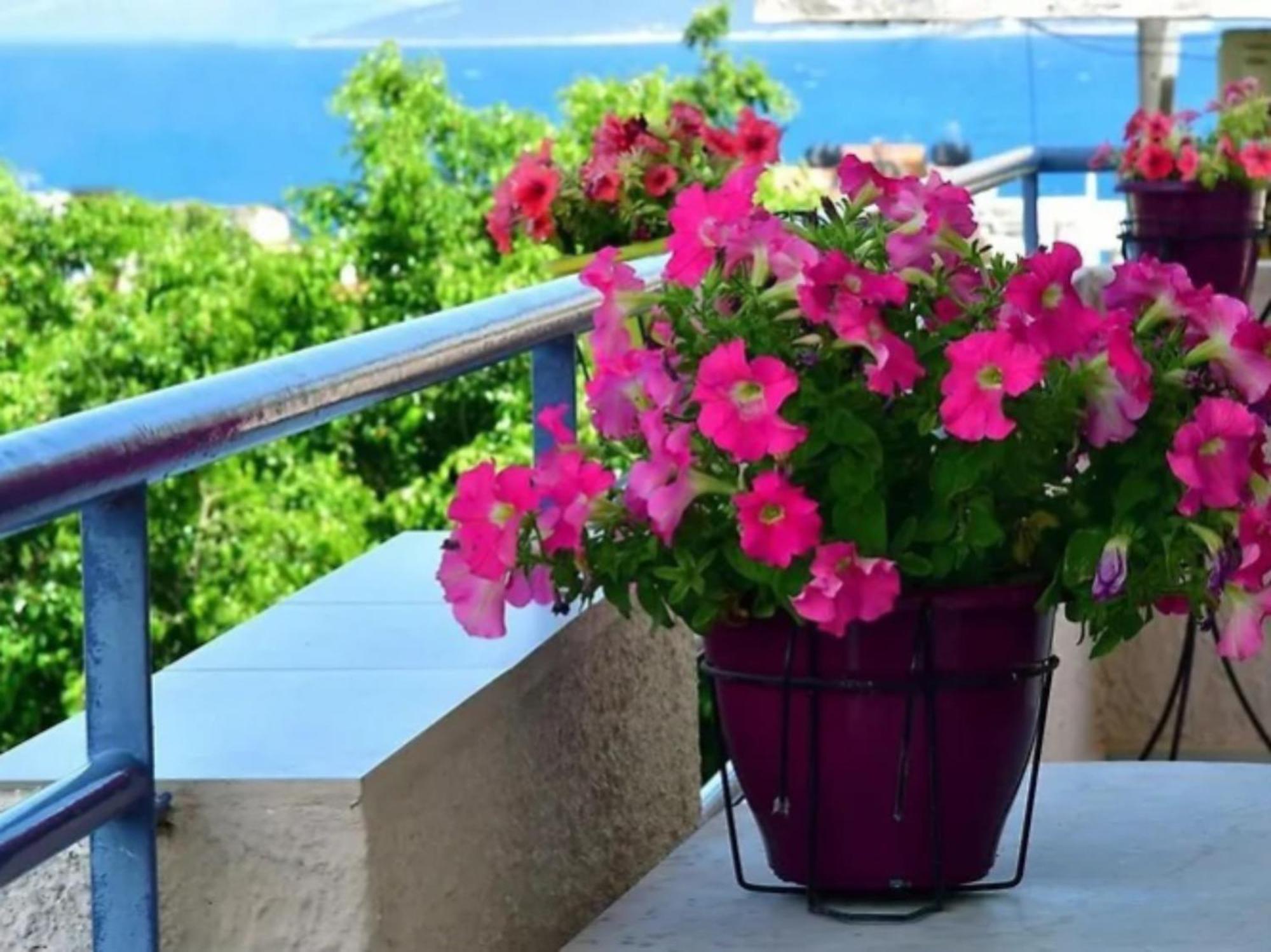 Konstantinos Apartments Толон Экстерьер фото